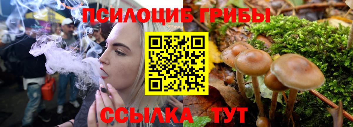 Псилоцибиновые грибы Psilocybine cubensis  купить наркоту  Лабытнанги  Галлюциногенные грибы Magic Shrooms  Вход с VPN 